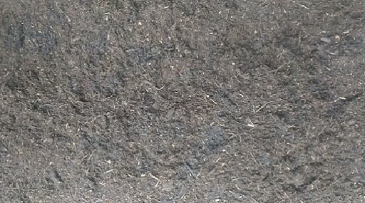 istutus.gif