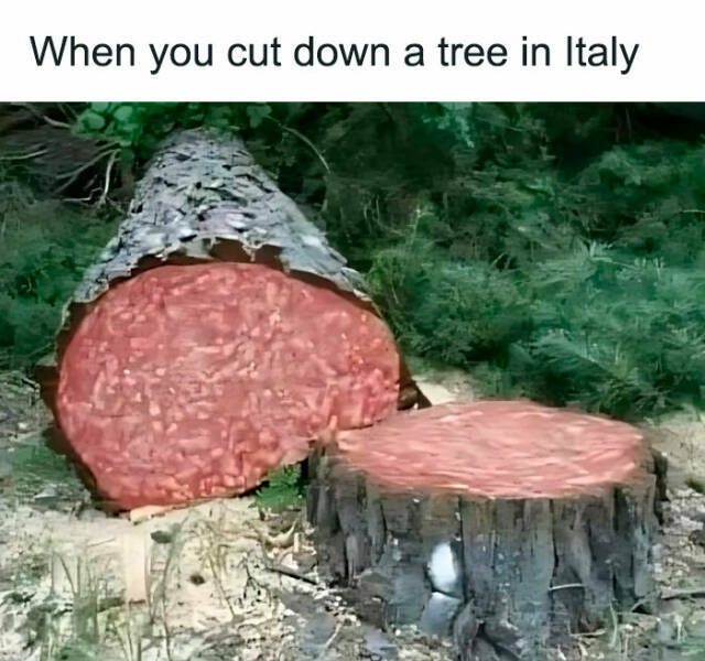 italian_puut.jpg