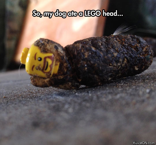 its_a_lego_man_in_a_sleeping_bag.jpg