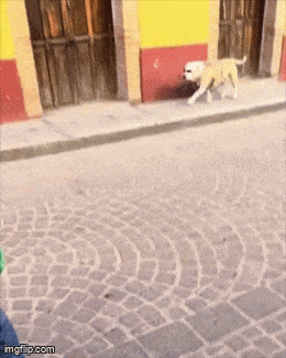 itteesa_lenkitan_tas.gif