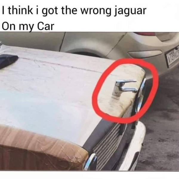 jaguar4.jpg