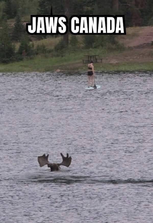 jaws_canada.jpg