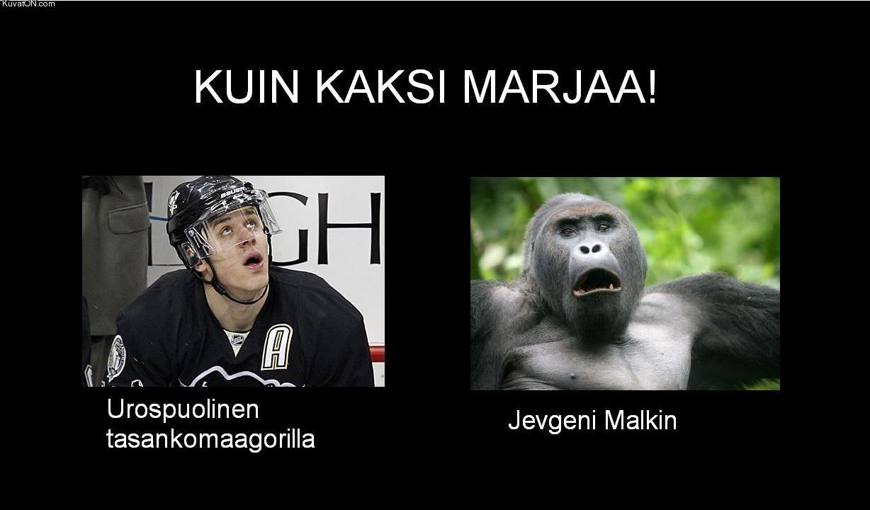 jevgeni_malkin.jpg