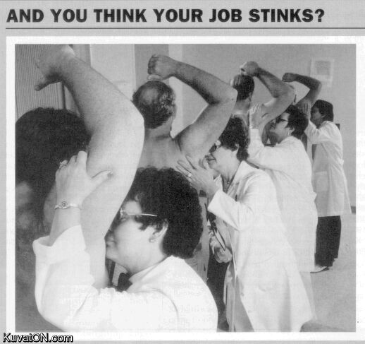 job_stinks.jpg