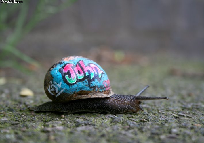 john_the_bastard_snail.jpg