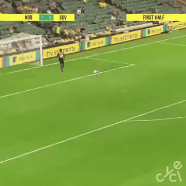 jos_bolt_pelais_futista.gif