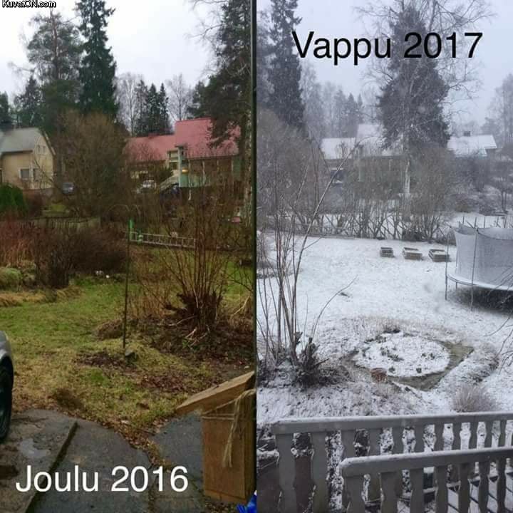 joulu_vs_vappu.jpg