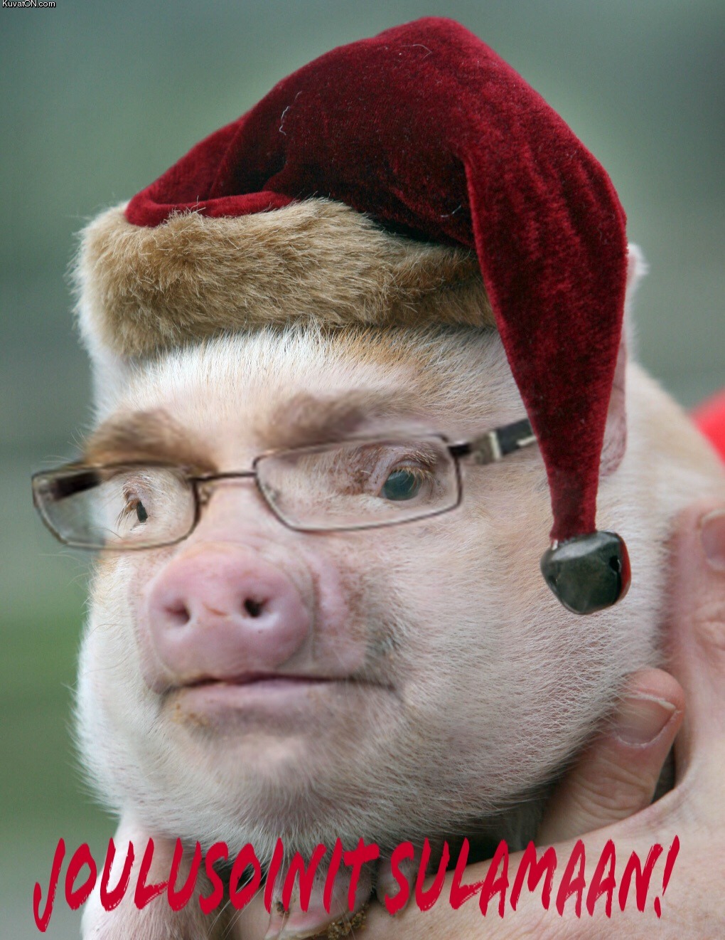 joulusoini.jpg