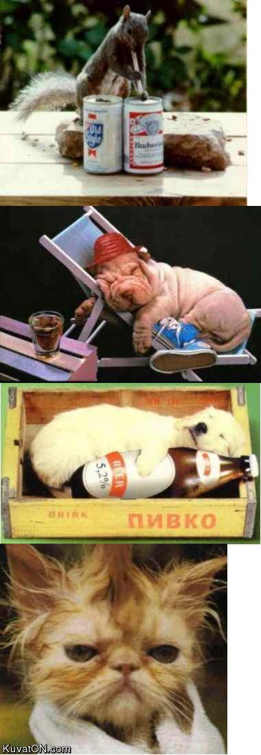 juoppoelukat.jpg