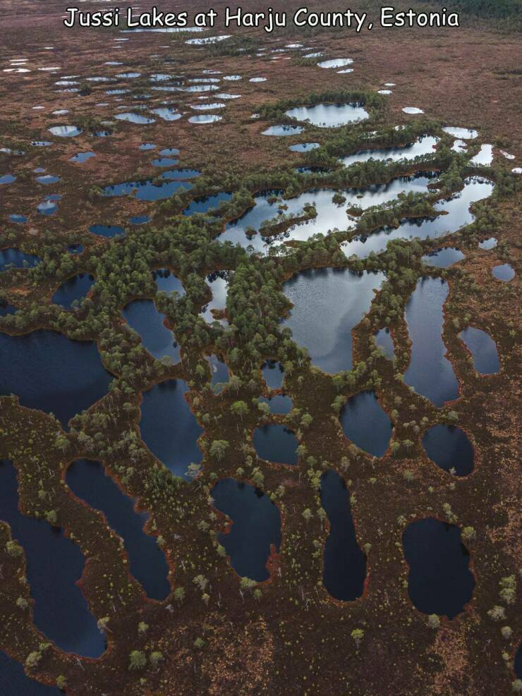 jussijarvet.jpg