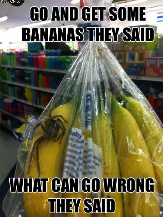 just_get_some_bananas.jpg