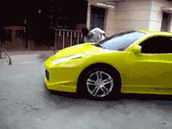 just_washing_my_ferrari.gif