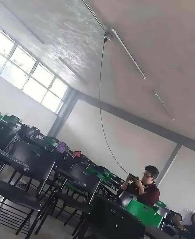 just_yls2.jpg