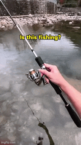 kalastusta.gif