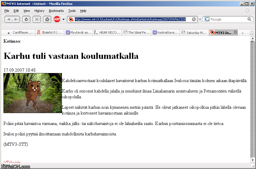karhuhavainto.jpg