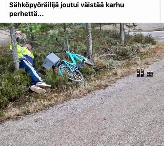 karhuperhe_yllatti.jpg