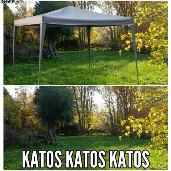 katoskatos.jpg