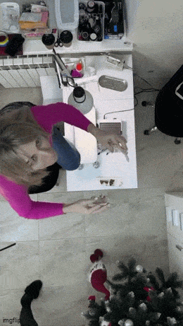 kattokaas_näitä.gif