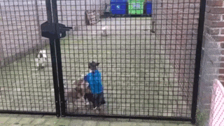 kaverille_riitti.gif