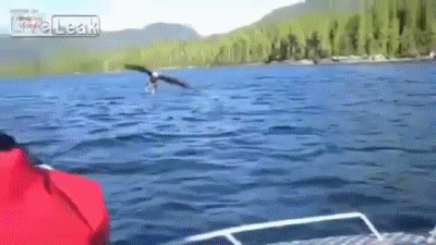 kiitti_ruuasta.gif