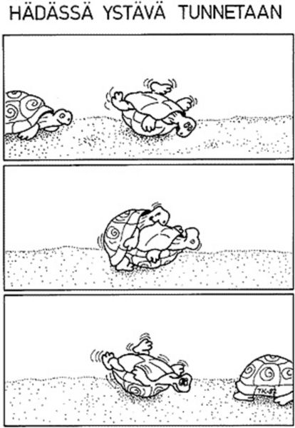 kilpikonna.jpg