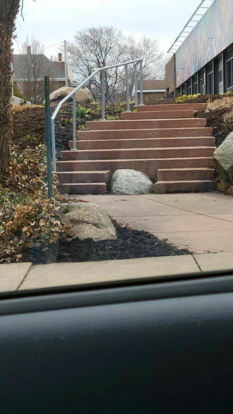 kivi_jäi.jpg