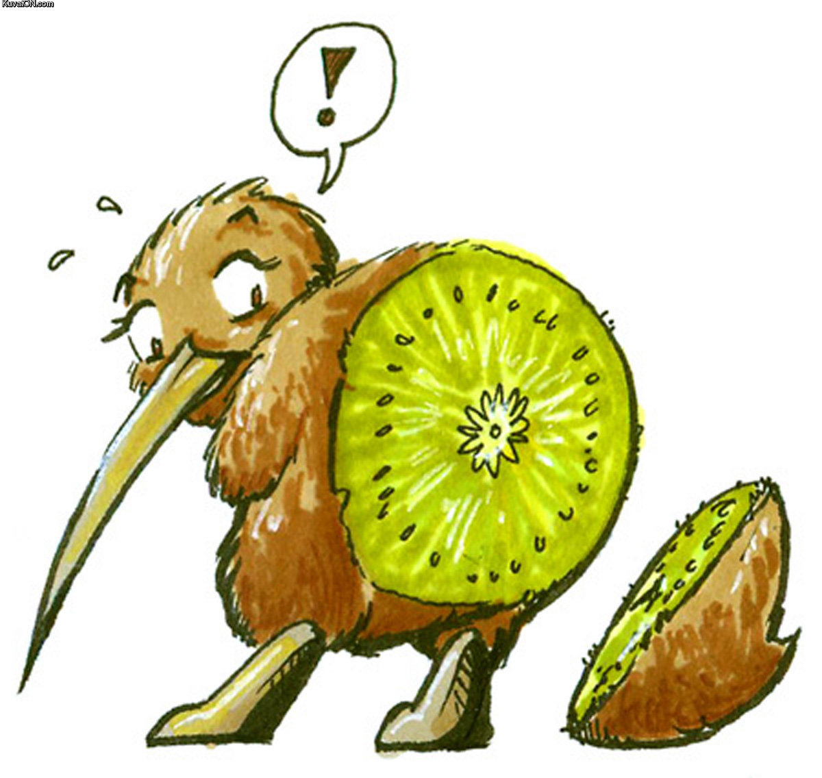 kiwi_butt.jpg