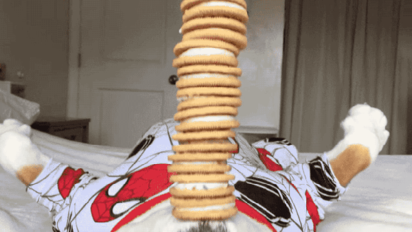 kohta_varmaa_herää.gif