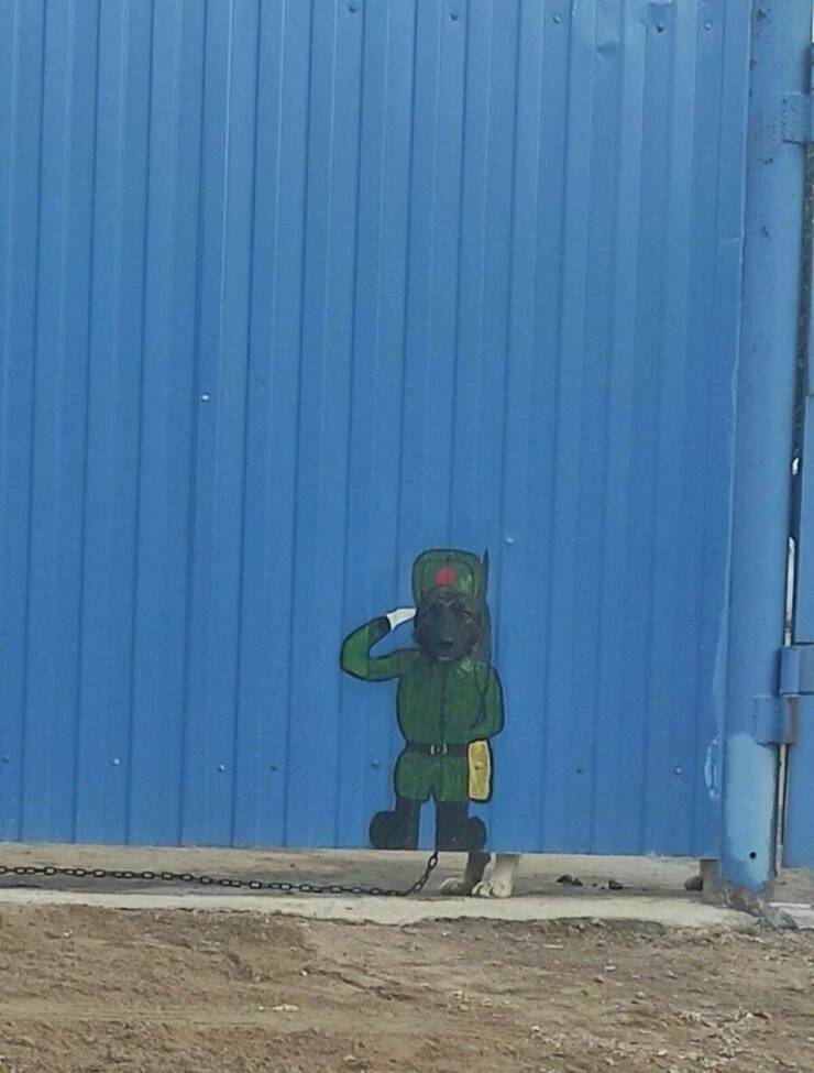 koiran_luukku.jpg