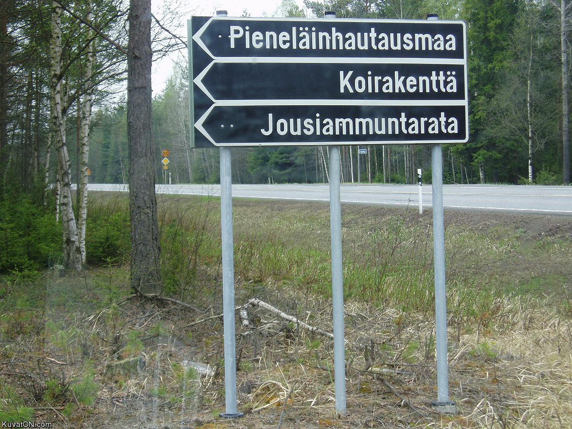 koiranammuntaa.jpg