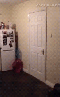 koiranluukku.gif