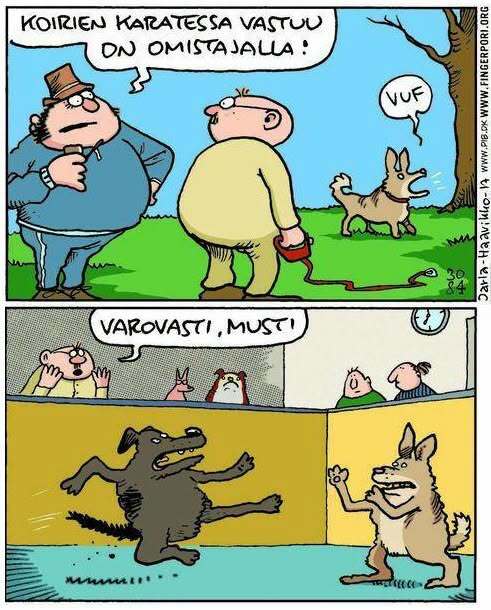 koirien_karatessa.jpg