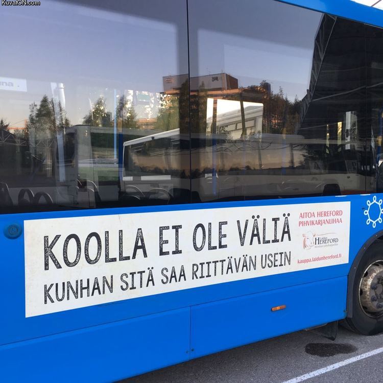 koolla_ei_ole_valia.jpg