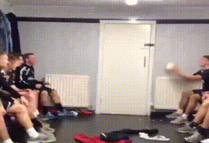 kopittelua6.gif
