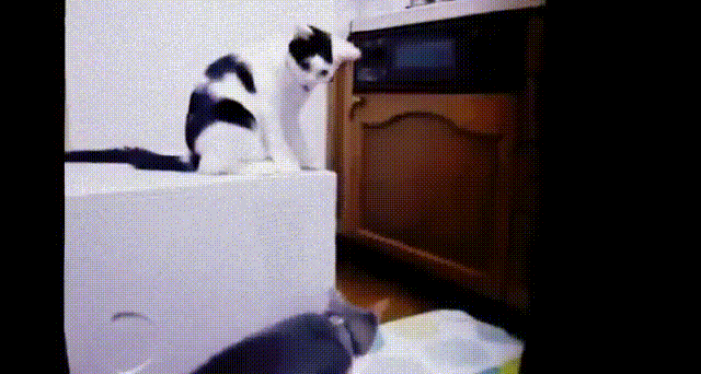 kuka_se_oli2.gif