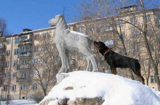 kukas_tää_on.jpg