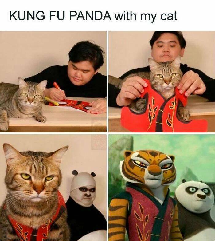 kungfupanda_with_my_cat.jpg