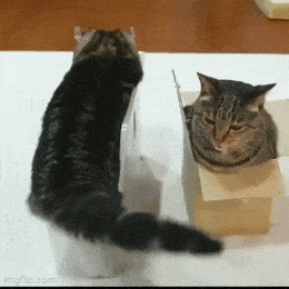 kuperkeikka6.gif