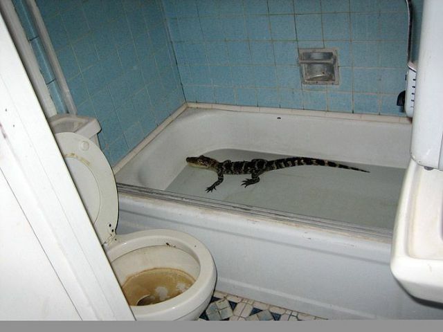 kylpyaika_nope.jpg