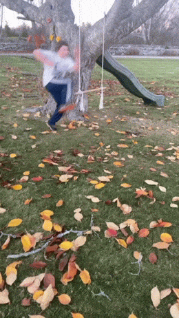 kärrynpyörä.gif