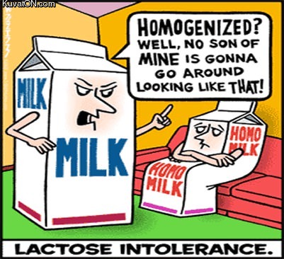 lactose_intolerance.jpg