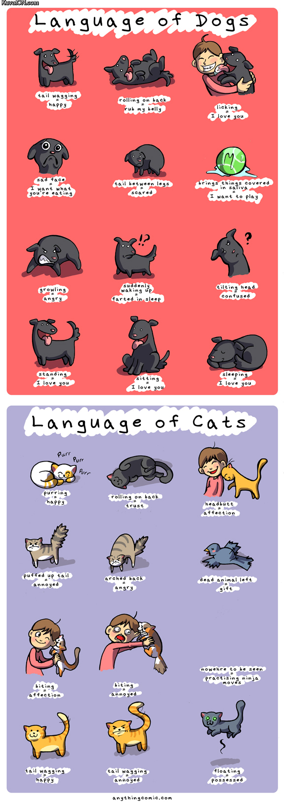 languages_of_dogs_and_cats.jpg