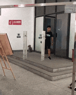 lasiovet2.gif