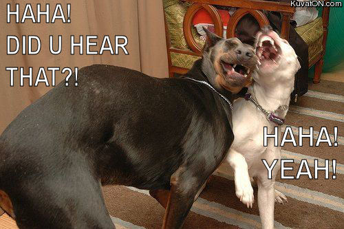 laughing_dogs.jpg