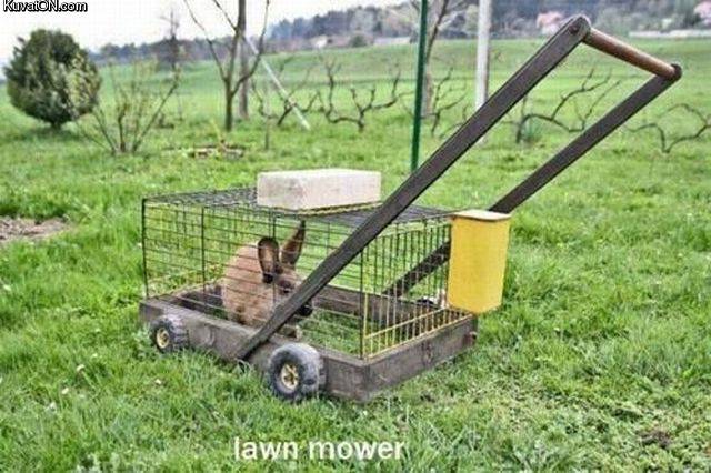 lawnmower.jpg