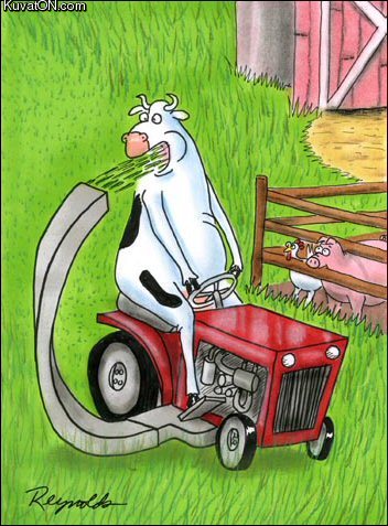 lawnmower_cow.jpg