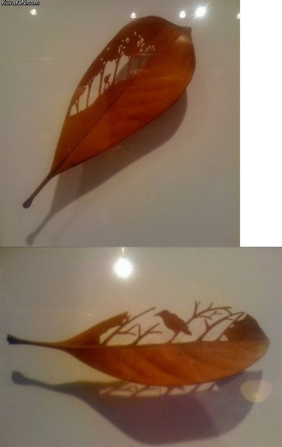 leaf_art.jpg