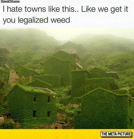 legalize_it.jpg