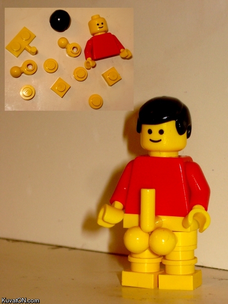 legoboner.jpg