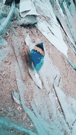 lehtiotokka4.gif
